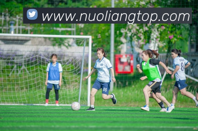 J9集团发展历程